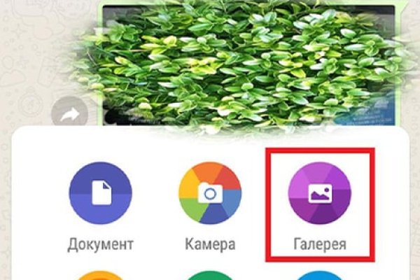Кракен как войти через тор