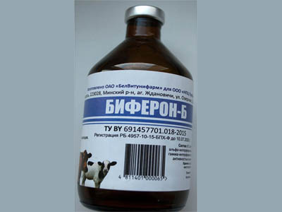 Как найти кракен в торе